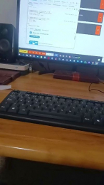 pijusmagnificus webcam model stream image