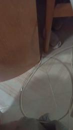 BigAnaconda2004 webcam model stream image