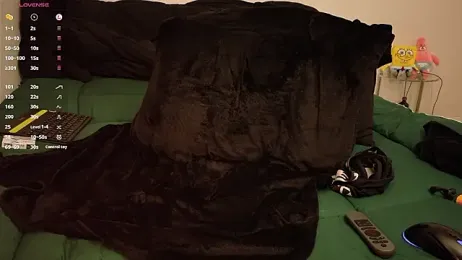 powq05 webcam model stream image