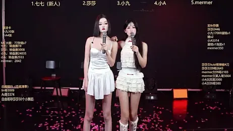 SK010 webcam model stream image