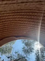 AmmyHot webcam model stream image