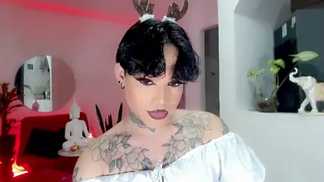 little_star_porn webcam stripchat model stream image