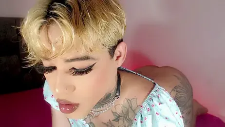little_star_porn webcam model stream image