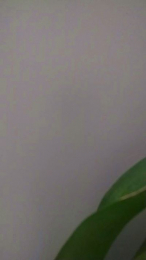 Playx1 webcam model stream image