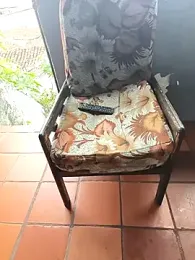 Blanco2023 webcam model stream image