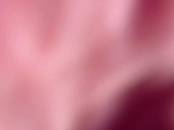 jasminevine webcam bongacams model stream image