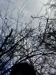 twitshe webcam model stream image