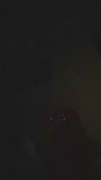 Gervytrevy webcam model stream image