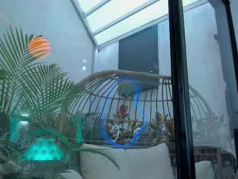 venus_flame webcam model stream image