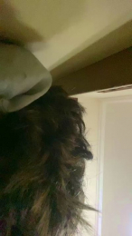 ryan2028 webcam model stream image