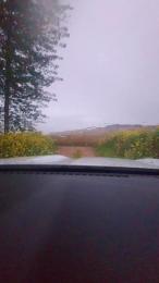 Gerontofilia webcam cam4 model stream image