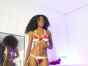 sum___ webcam preview