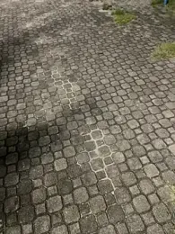 joel852 webcam model stream image