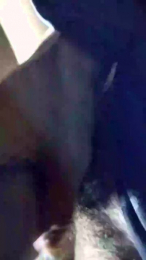 Cocksauro89 webcam model stream image