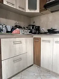 shelby_kutter webcam model stream image