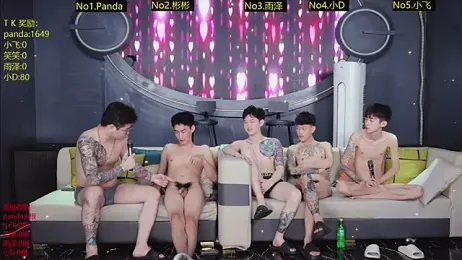SX-009 webcam model stream image