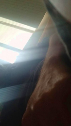 Solteiroc webcam model stream image