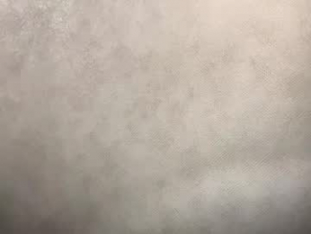 heart_petal webcam model stream image