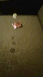 alessandravite1 webcam model stream image