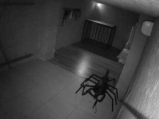 voyeurcam-jb-domination-1 webcam model stream image