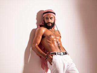 Thaiel Foster webcam model stream image