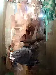 Forest_lover24 webcam model stream image