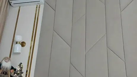 Touch_me webcam model stream image