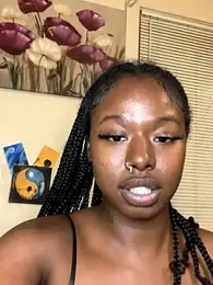 TinyBlazian901 webcam model stream image