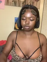 TinyBlazian901 webcam model stream image