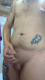 pollon293 webcam cam4 model stream image