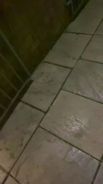 Outandabout webcam model stream image