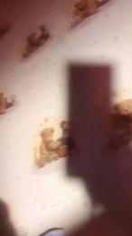 Dddd564 webcam model stream image