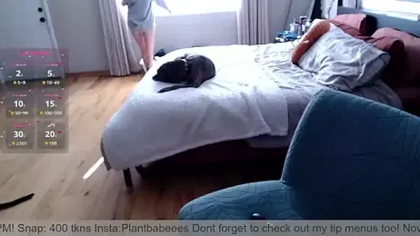 Plantbabeee webcam model stream image