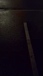 Plair4421 webcam model stream image