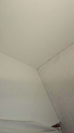 jenna36 webcam model stream image