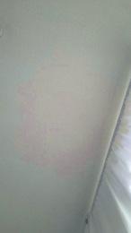 jenna36 webcam model stream image