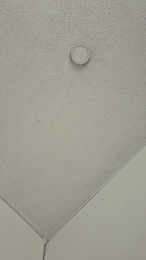 jenna36 webcam model stream image