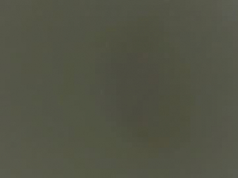 daddybryce0 webcam model stream image