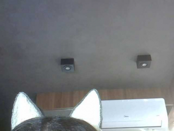 SkinnyKitty webcam model stream image