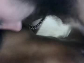 jacobinlynn webcam model stream image