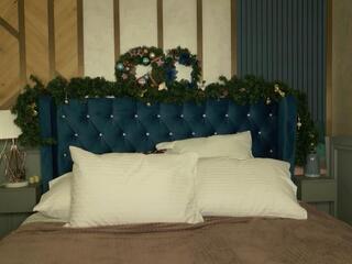 Morgan Ward webcam model stream image