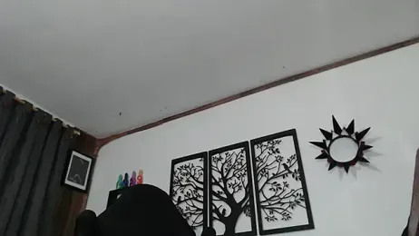 Ryan-theman webcam model stream image