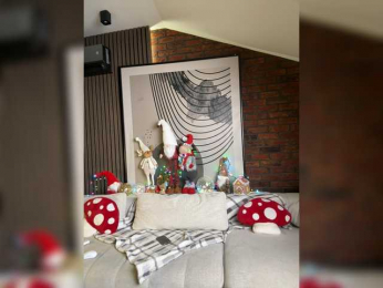 BabyMVD webcam model stream image