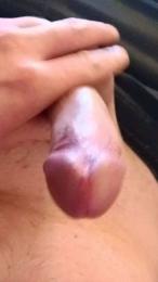 jungelatte91 webcam model stream image