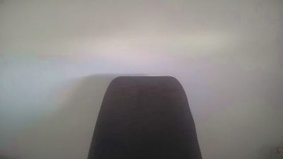 argonauta87 webcam model stream image