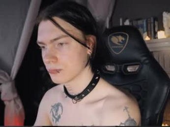 pantivik webcam model stream image