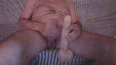 robygig webcam model stream image