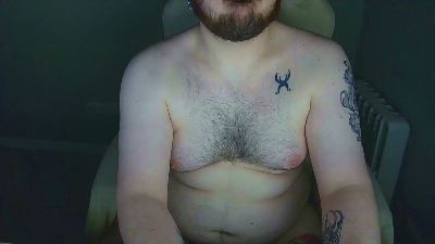 chubbear334 webcam model stream image