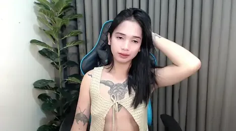 Ts_simplicity webcam model stream image