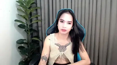 Ts_simplicity webcam model stream image